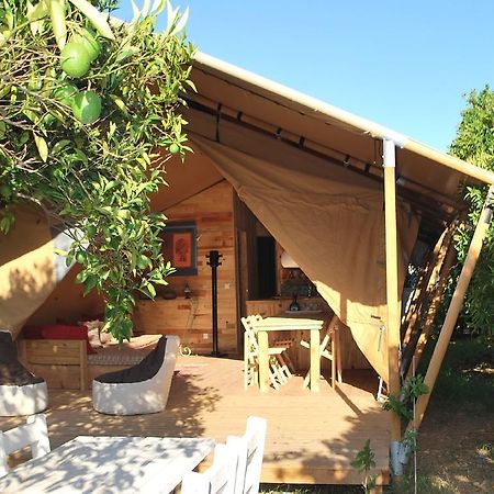 Campo Portakal Eco Glamping Hotel Cirali Room photo