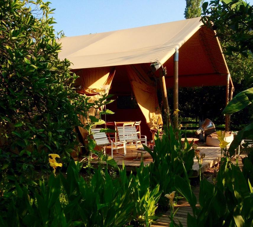 Campo Portakal Eco Glamping Hotel Cirali Room photo
