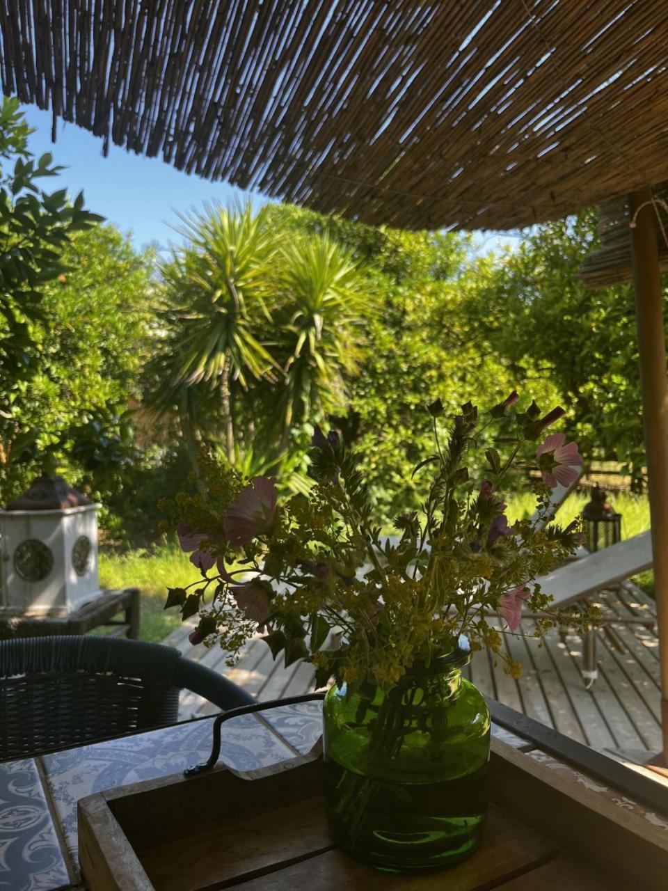 Campo Portakal Eco Glamping Hotel Cirali Room photo